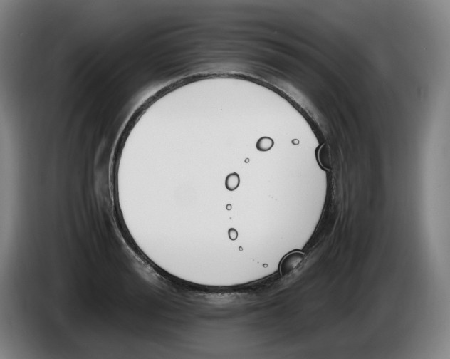 X0000086340988200704202057