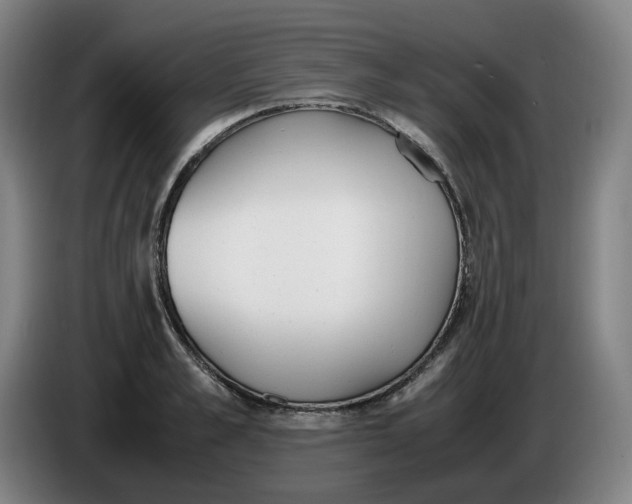 X0000086340989200704202057