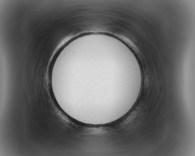 X0000086340990200704202057