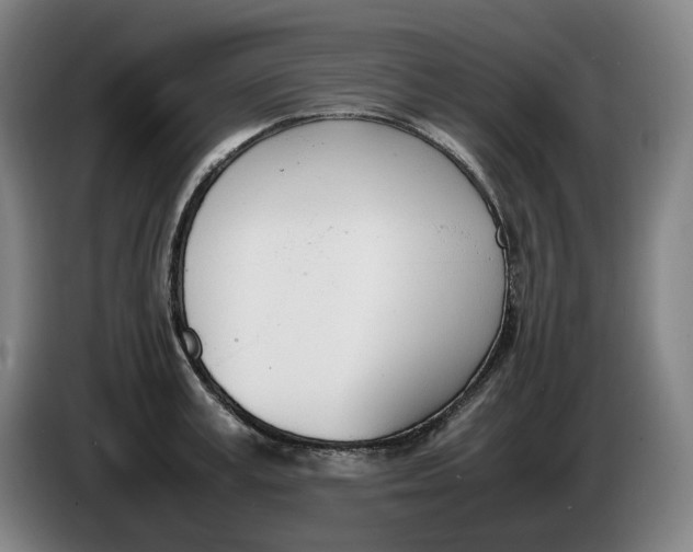 X0000086340995200704202057