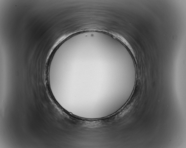 X0000086340997200704202057