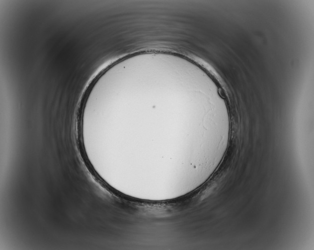 X0000086340999200704202057