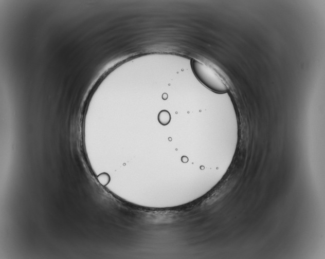 X0000086341000200704202057