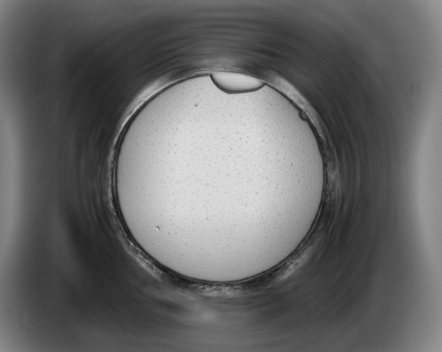 X0000086341002200704202057