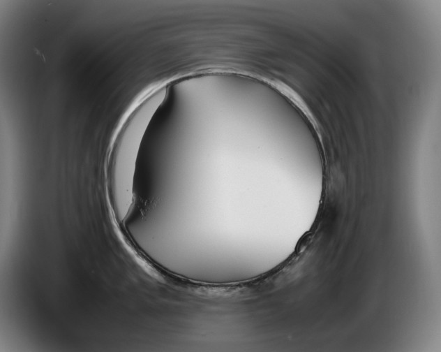 X0000086341005200704202057