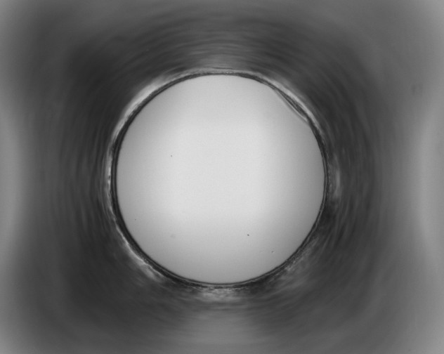 X0000086341006200704202057