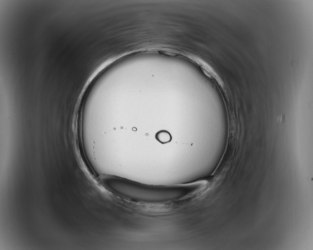 X0000086341007200704202057