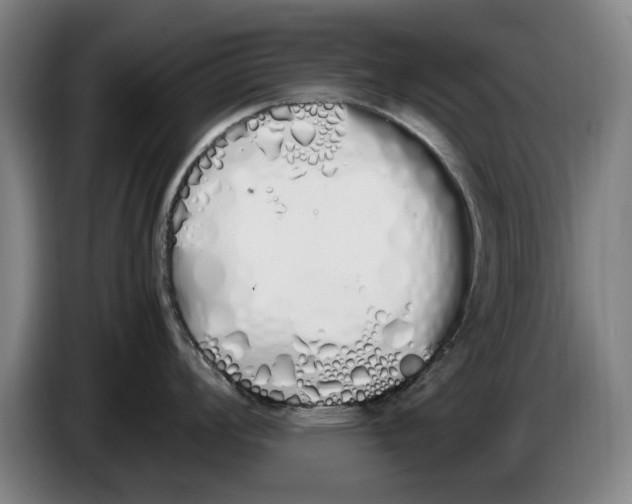 X0000086341008200704202057