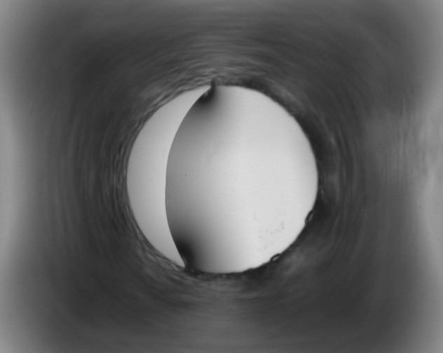 X0000086341010200704202057