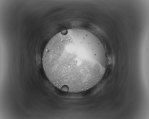 X0000086341011200704202057
