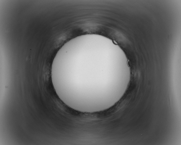 X0000086341012200704202057