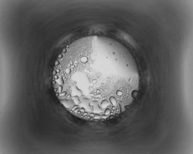 X0000086341015200704202057