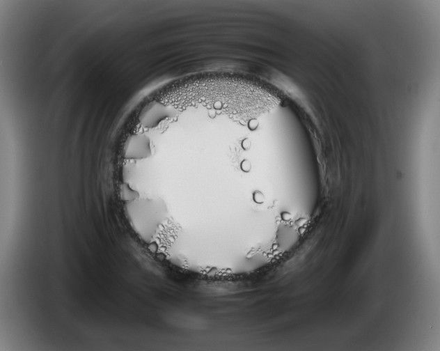 X0000086341019200704202057