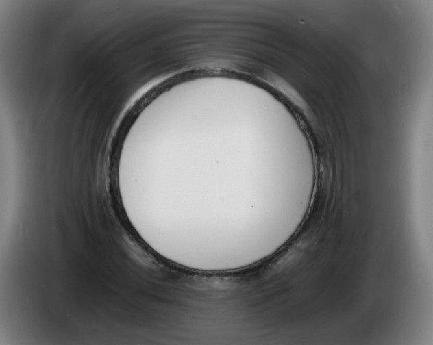 X0000086341020200704202057