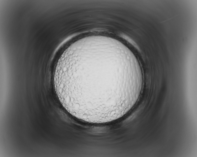 X0000086341021200704202057