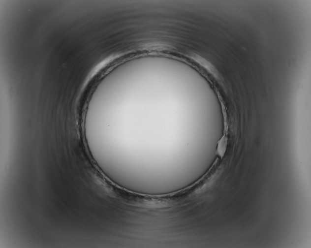 X0000086341022200704202057