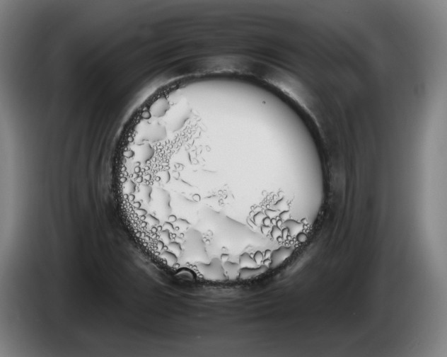 X0000086341023200704202057