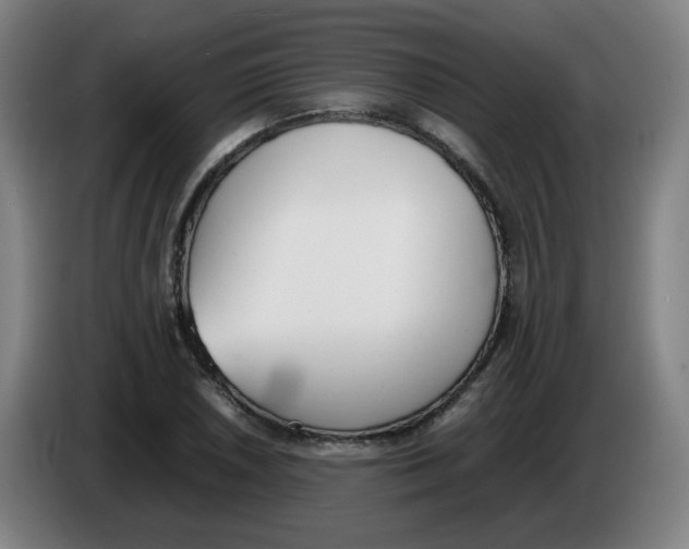 X0000086341026200704202057