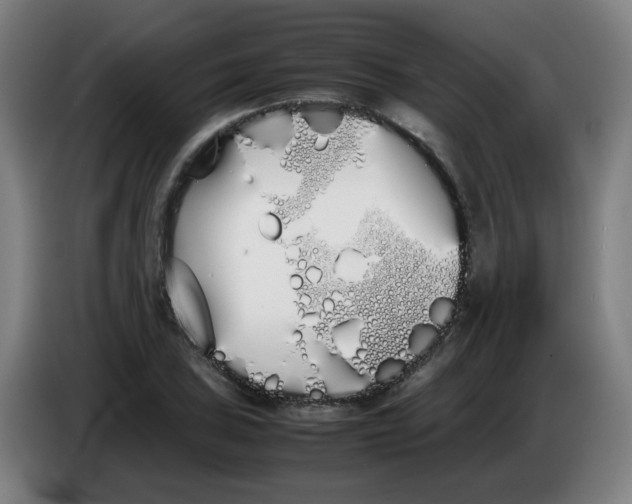 X0000086341027200704202057