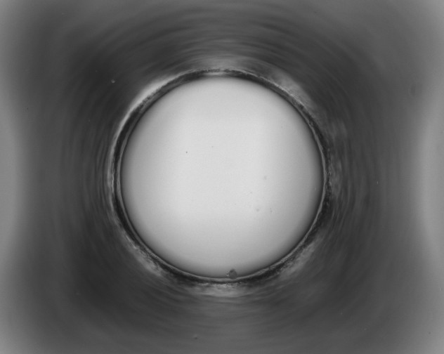 X0000086341028200704202057