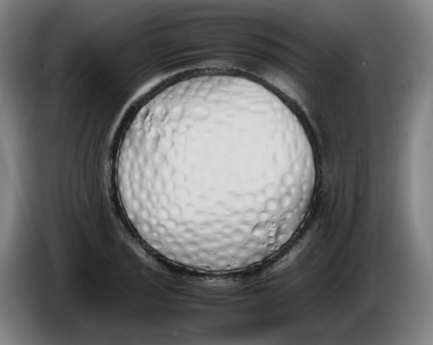 X0000086341029200704202057