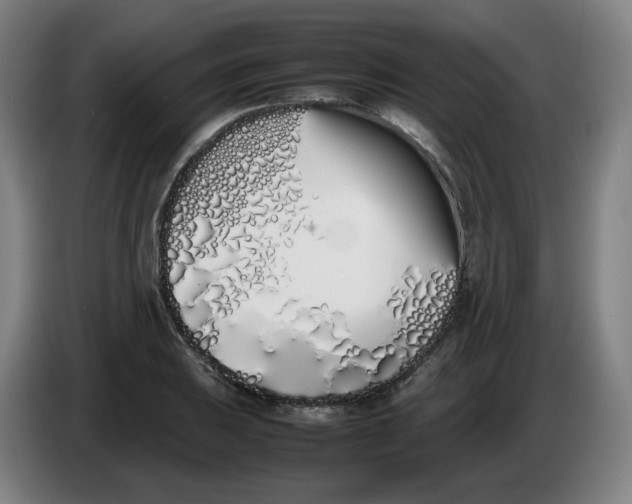 X0000086341031200704202057