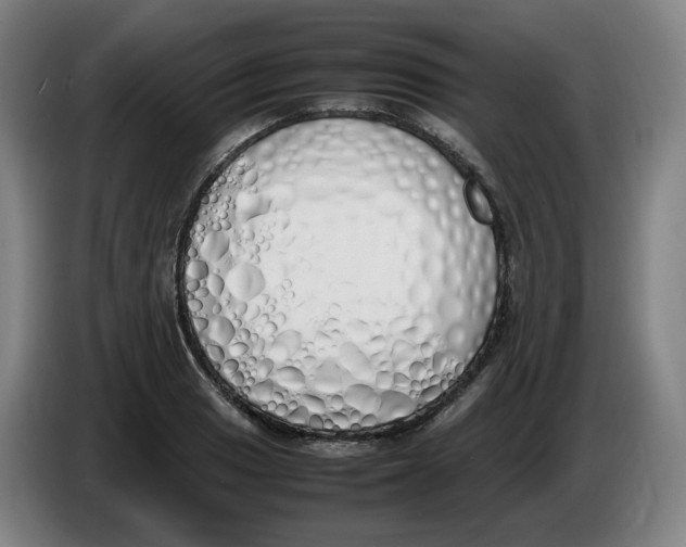 X0000086341033200704202057