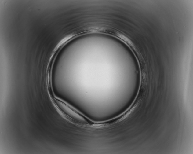 X0000086341034200704202057