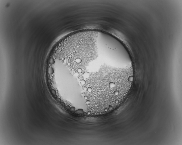 X0000086341035200704202057
