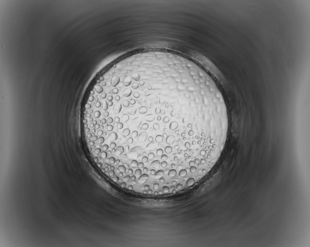 X0000086341036200704202057
