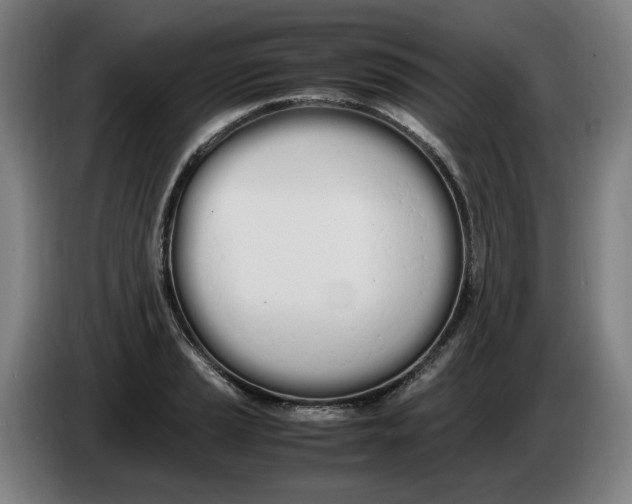 X0000086341037200704202057
