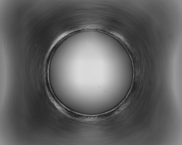 X0000086341038200704202057