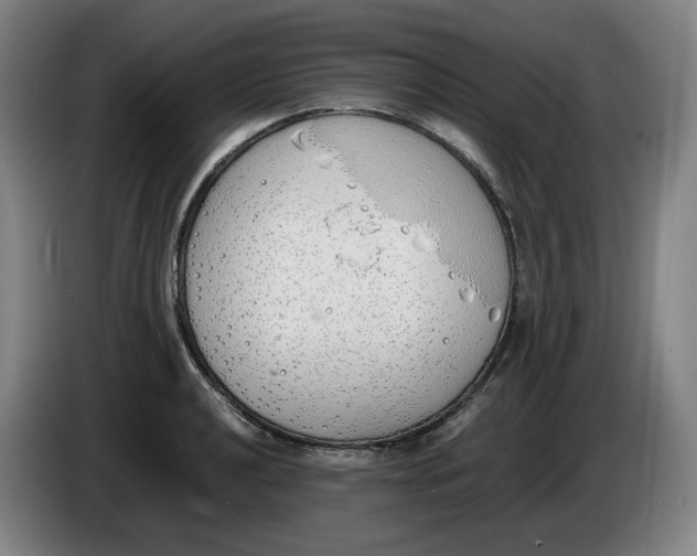 X0000086341040200704202057