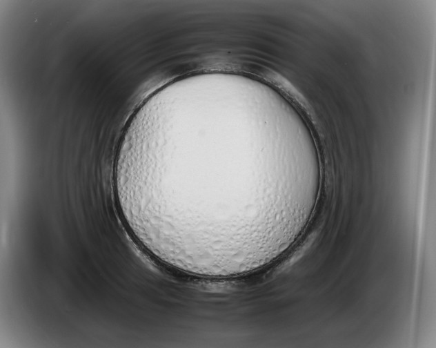 X0000086341041200704202057