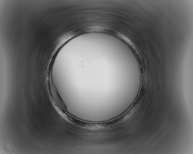 X0000086341042200704202057
