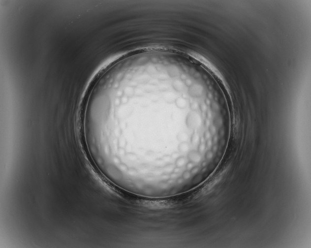 X0000086341045200704202057