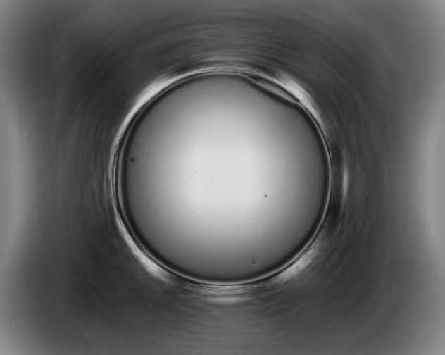 X0000086341046200704202057