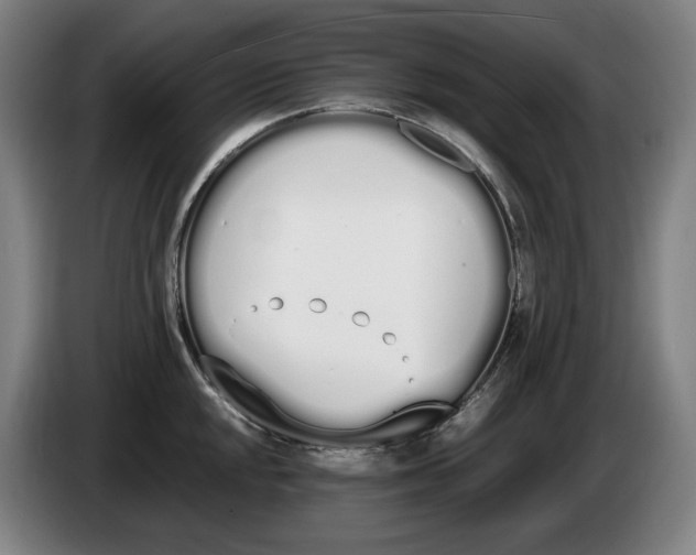 X0000086341048200704202057