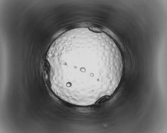 X0000086341049200704202057