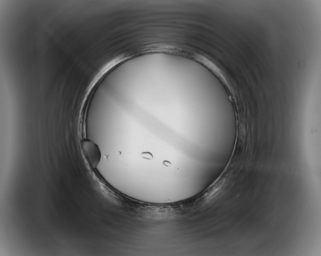 X0000086341050200704202057