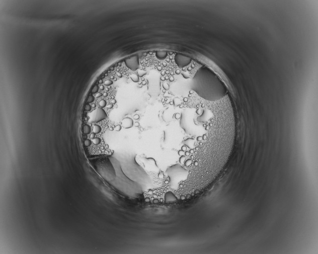 X0000086341051200704202057
