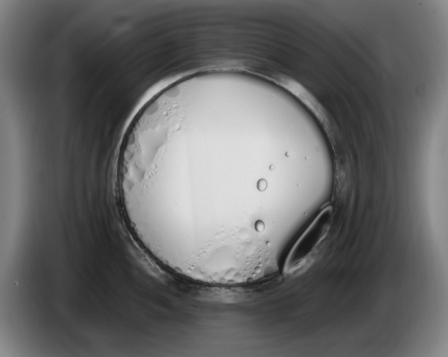 X0000086341052200704202057