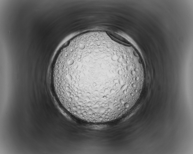 X0000086341053200704202057