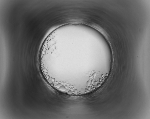 X0000086341056200704202057