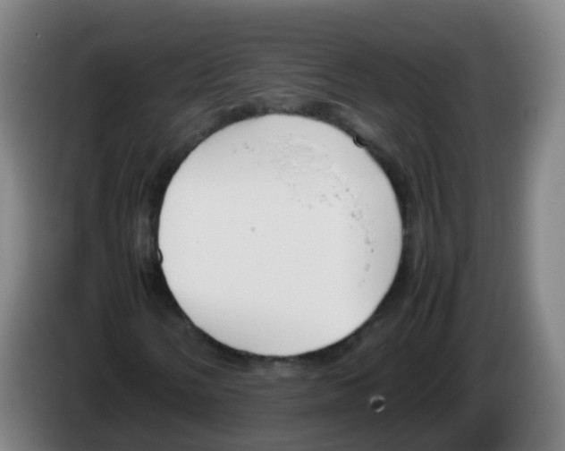 X0000086341058200704202057