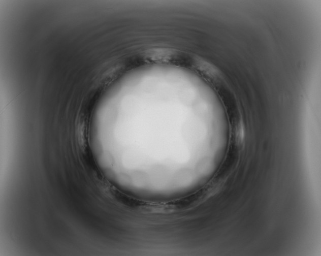 X0000086341060200704202057
