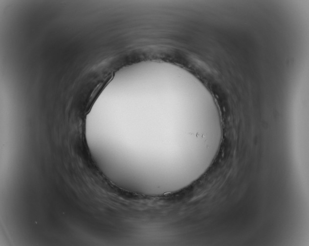 X0000086341061200704202057