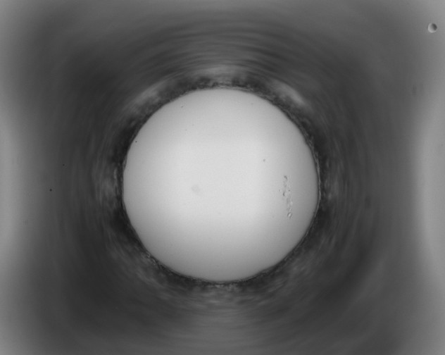 X0000086341062200704202057