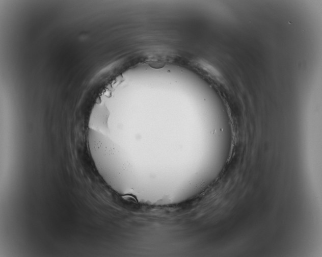 X0000086341063200704202057