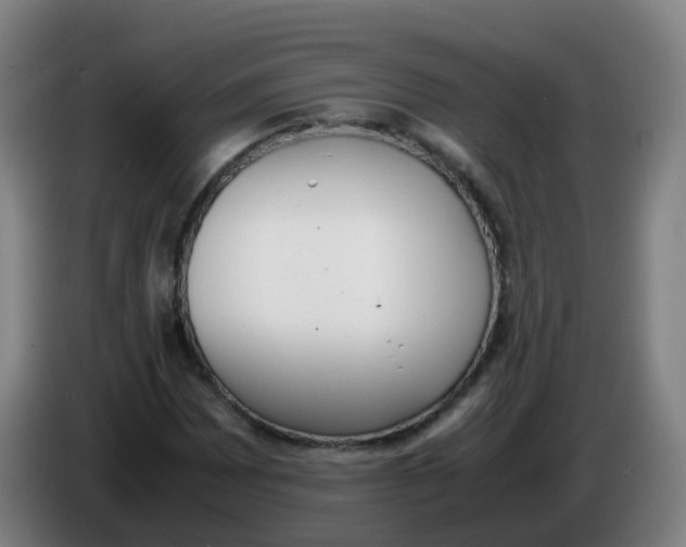 X0000086341065200704202057
